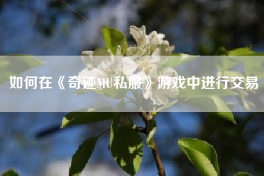 如何在《奇迹MU私服》游戏中进行交易