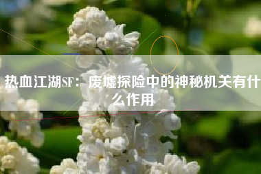 热血江湖SF：废墟探险中的神秘机关有什么作用