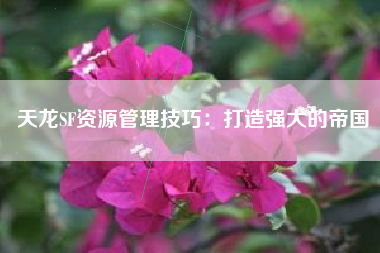 天龙SF资源管理技巧：打造强大的帝国