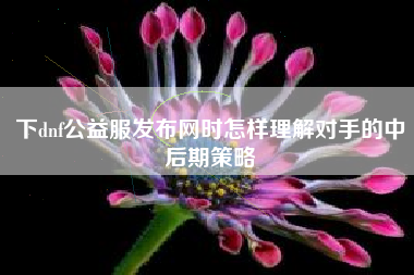 下dnf公益服发布网时怎样理解对手的中后期策略