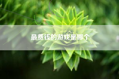 最费钱的游戏是哪个