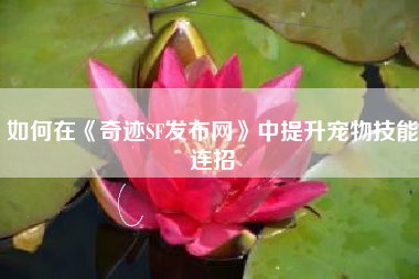 如何在《奇迹SF发布网》中提升宠物技能连招