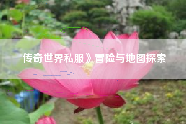 传奇世界私服》冒险与地图探索