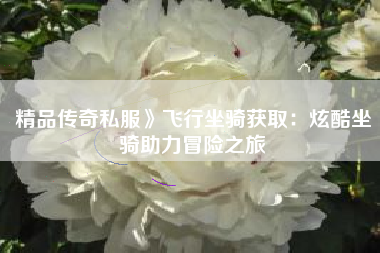 精品传奇私服》飞行坐骑获取：炫酷坐骑助力冒险之旅