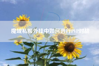 魔域私服外挂中如何进行PVP对战