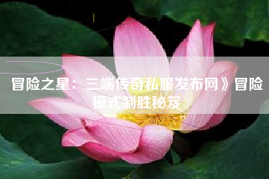 冒险之星：三端传奇私服发布网》冒险模式制胜秘笈