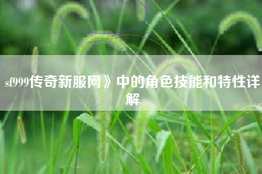 sf999传奇新服网》中的角色技能和特性详解