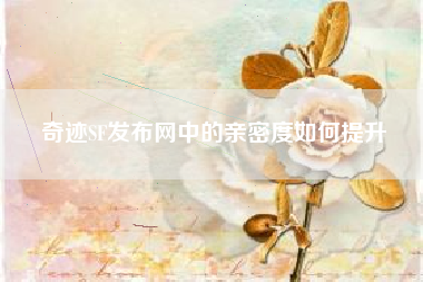 奇迹SF发布网中的亲密度如何提升