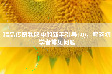 精品传奇私服中的新手引导FAQ，解答初学者常见问题