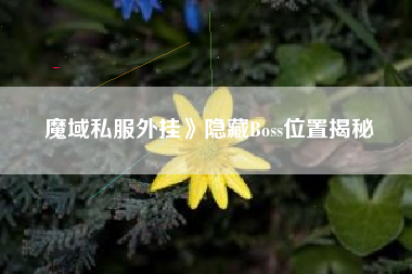 魔域私服外挂》隐藏Boss位置揭秘