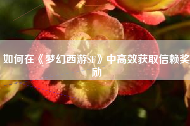 如何在《梦幻西游SF》中高效获取信赖奖励