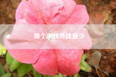 哪个游戏外挂最少
