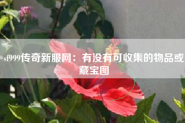 sf999传奇新服网：有没有可收集的物品或藏宝图