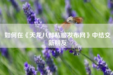 如何在《天龙八部私服发布网》中结交新朋友