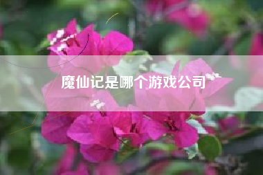 魔仙记是哪个游戏公司