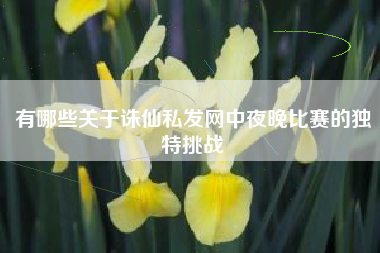 有哪些关于诛仙私发网中夜晚比赛的独特挑战