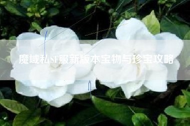 魔域私SF服新版本宝物与珍宝攻略