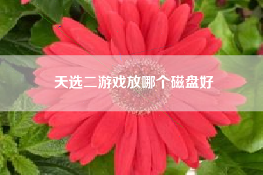 天选二游戏放哪个磁盘好