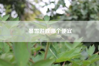 暴雪游戏哪个便宜