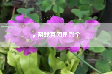 pc游戏官网是哪个