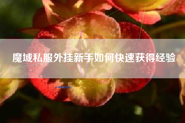 魔域私服外挂新手如何快速获得经验