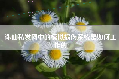 诛仙私发网中的模拟损伤系统是如何工作的