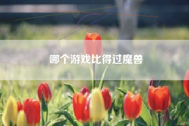 哪个游戏比得过魔兽