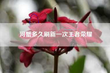 河蟹多久刷新一次王者荣耀