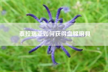 泰拉瑞亚如何获得血腥磨具