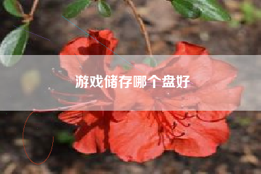 游戏储存哪个盘好