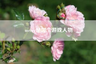 mrbig是哪个游戏人物