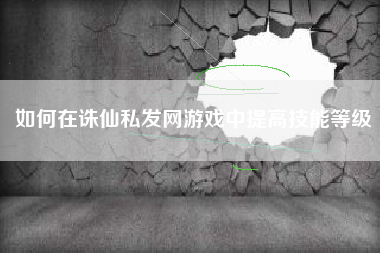 如何在诛仙私发网游戏中提高技能等级