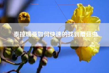 泰拉瑞亚如何快速的找到蘑菇虫