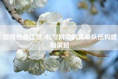 游戏热血江湖sf私发网中的高级队伍构建和策略