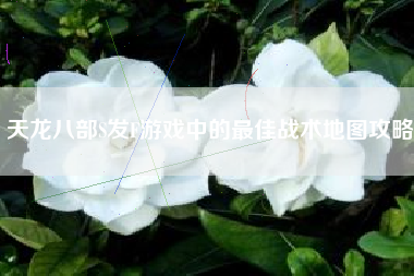 天龙八部S发F游戏中的最佳战术地图攻略