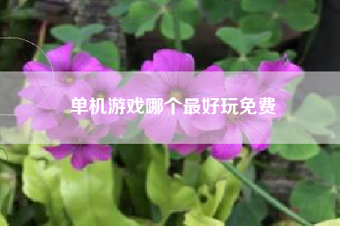单机游戏哪个最好玩免费