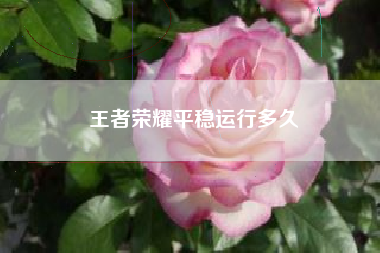 王者荣耀平稳运行多久
