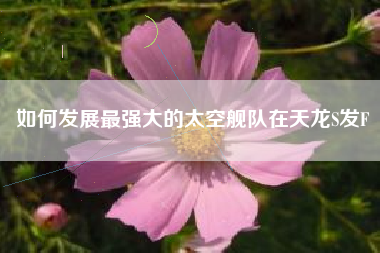 如何发展最强大的太空舰队在天龙S发F