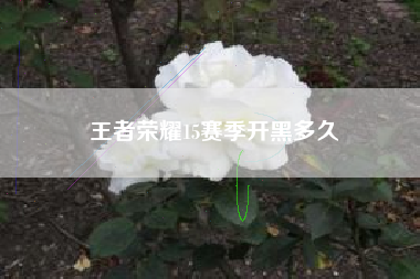王者荣耀15赛季开黑多久