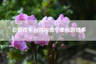 云游戏平台国内哪个单机游戏多