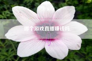 哪个游戏直播赚钱吗