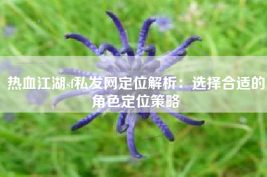 热血江湖sf私发网定位解析：选择合适的角色定位策略