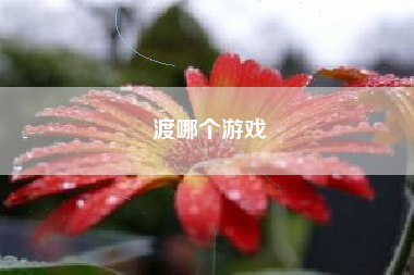 渡哪个游戏