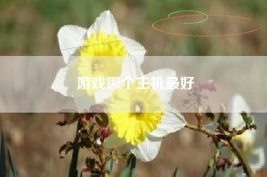 游戏哪个主机最好