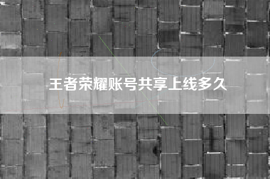 王者荣耀账号共享上线多久