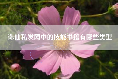 诛仙私发网中的技能书籍有哪些类型