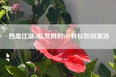 热血江湖sf私发网的VIP特权如何激活
