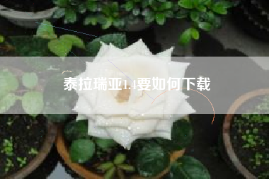 泰拉瑞亚1.4要如何下载