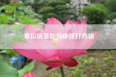 泰拉瑞亚如何快速打方块