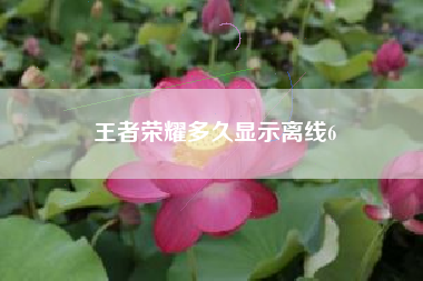 王者荣耀多久显示离线6